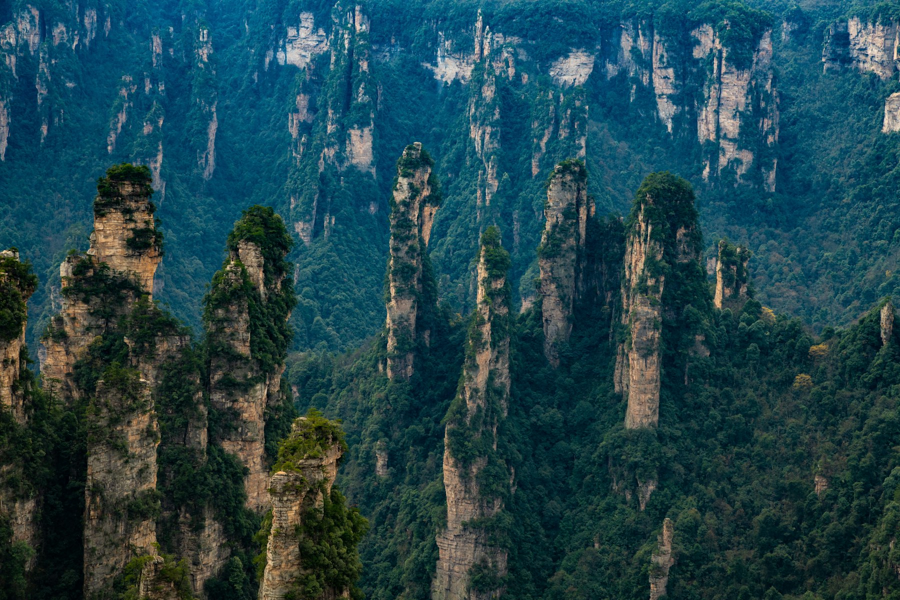 Sandstone peaks of Zhangjiajie, China